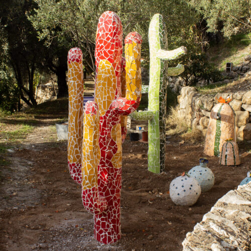 Jardín de cactus